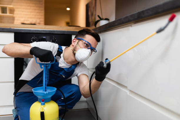 Best Termite Control Services  in Bangor, MI