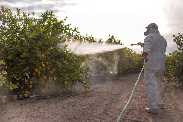 Best Emergency Pest Control  in Bangor, MI